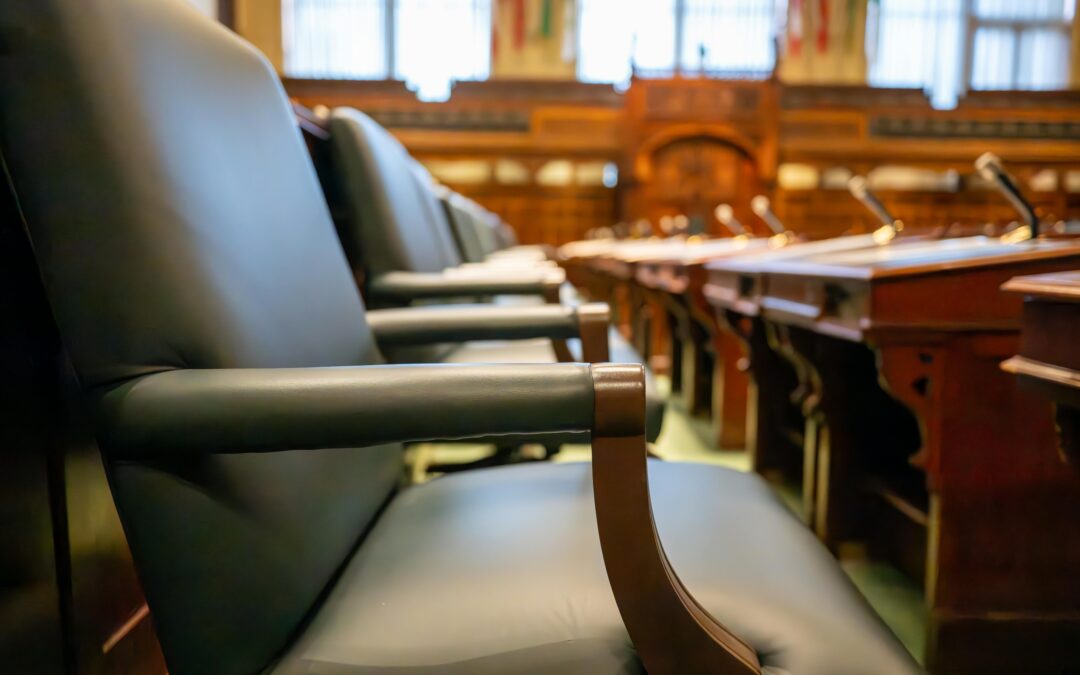 How Courts Actually Work: A Beginner’s Guide for First-Time Litigants